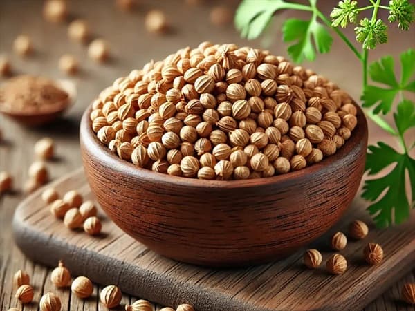 تصویر 4 از فروش تخم گشنیز توپی + قیمت خرید به صرفه