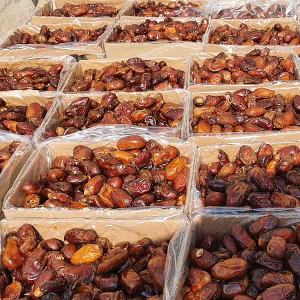 تصویر 3 از خرید و قیمت خرمای استعمران شادگان + فروش عمده