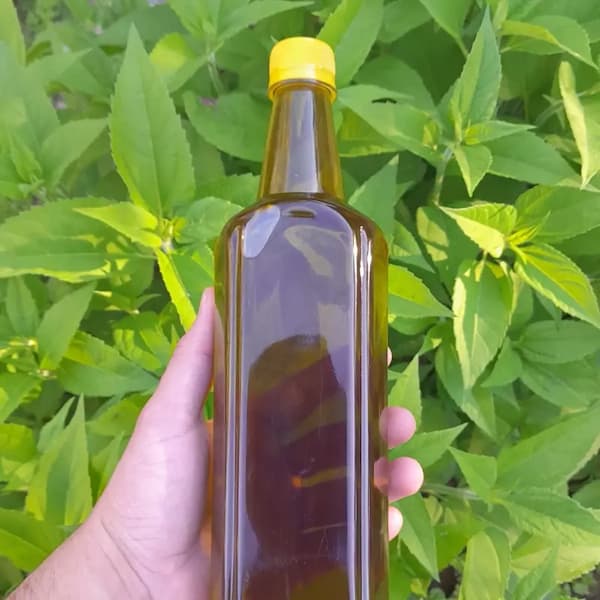 تصویر 3 از خرید و فروش روغن کنجد ۲۰ لیتری با شرایط فوق العاده
