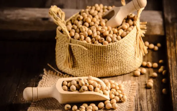 تصویر 3 از قیمت سویا آجیلی نمکی با کیفیت ارزان + خرید عمده