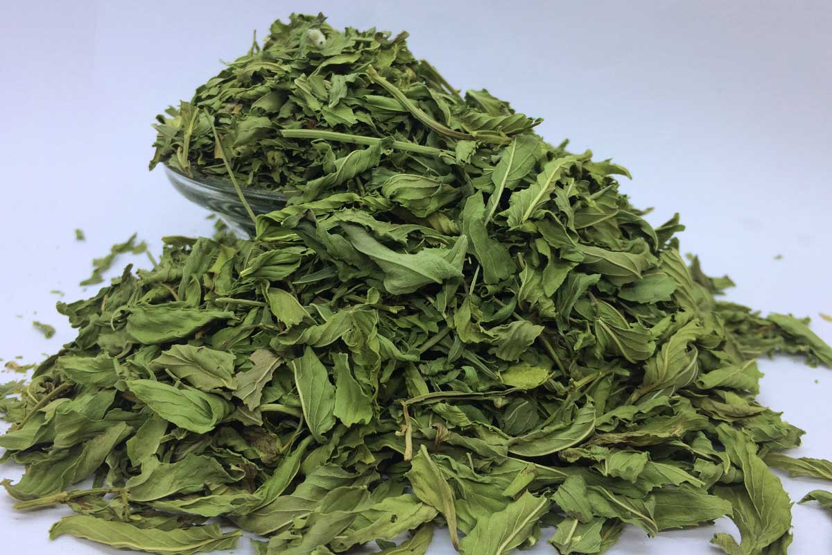 تصویر 4 از خرید نعنا خشک اعلا + قیمت فروش استثنایی