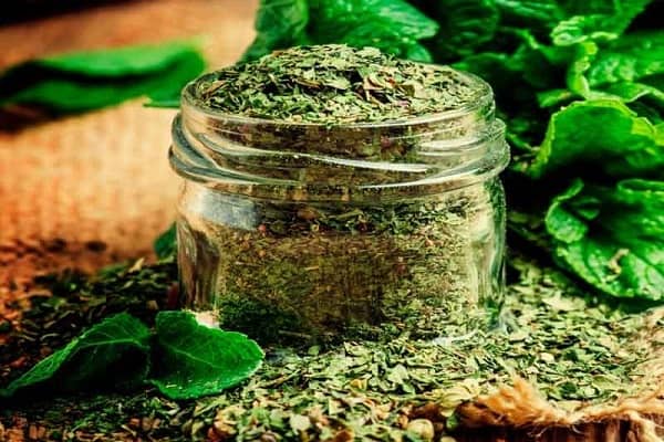 تصویر 5 از خرید نعنا خشک اعلا + قیمت فروش استثنایی