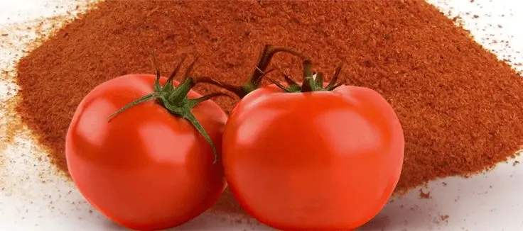 تصویر 4 از خرید و قیمت پودر گوجه فرنگی برای پفیلا + فروش عمده