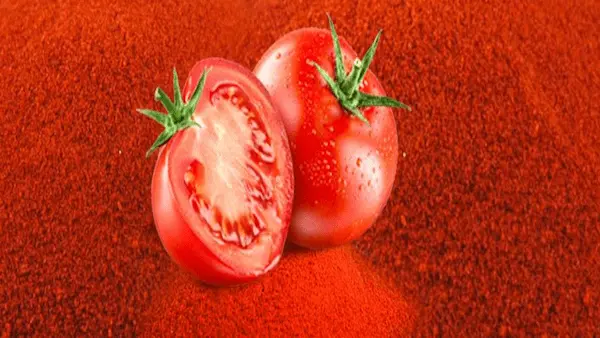 تصویر 4 از خرید و قیمت پودر گوجه فرنگی خشک شده + فروش عمده