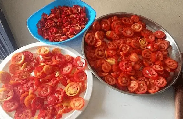 تصویر 5 از خرید پودر گوجه الیت + قیمت فروش استثنایی