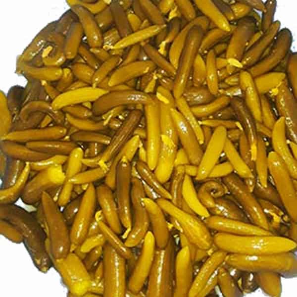 تصویر 3 از خرید خیارشور حلب شاهکار + قیمت فروش استثنایی