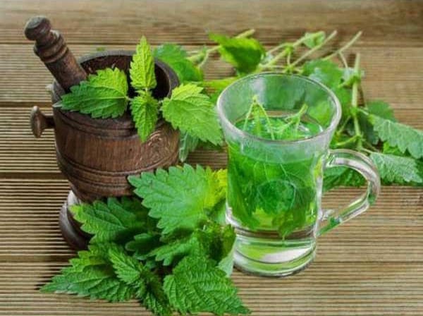 تصویر 1 از خرید عرق دو آتیشه نعناع + قیمت فروش استثنایی
