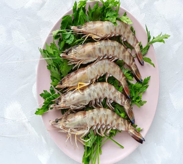 تصویر 2 از قیمت میگو سایز بزرگ + خرید باور نکردنی