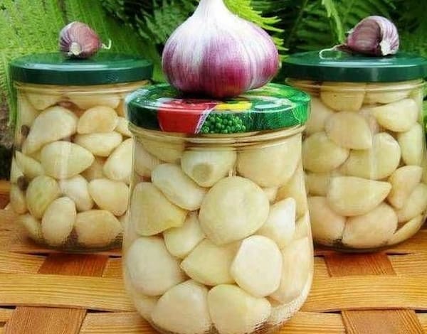 قیمت خرید سیر سفید شیشه ای + فروش ویژه