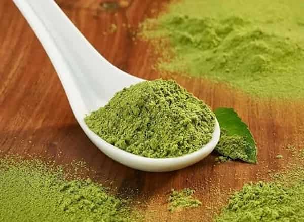 خرید و قیمت پودر کیوی خشک + فروش عمده