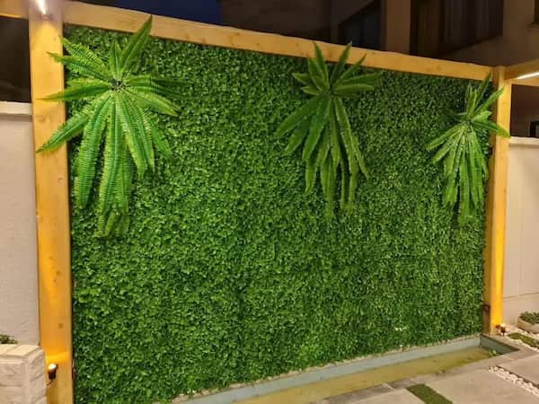تصویر 1 از قیمت گرین وال برگ پرتقالی + خرید باور نکردنی