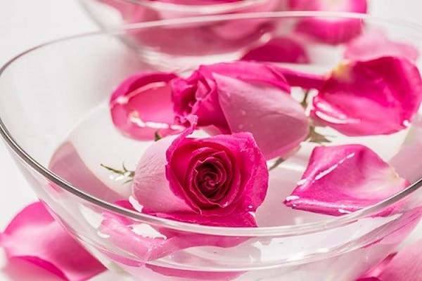 تصویر 5 از خرید و فروش گل محمدی داراب با شرایط فوق العاده