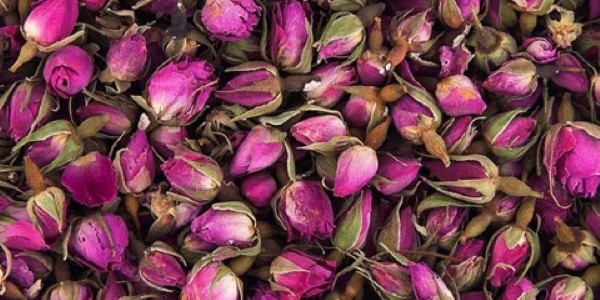 تصویر 2 از قیمت غنچه گل محمدی عمده با کیفیت ارزان + خرید عمده
