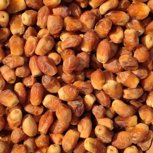 تصویر 1 از خرید خرما زاهدی مروارید سیاه + قیمت فروش استثنایی