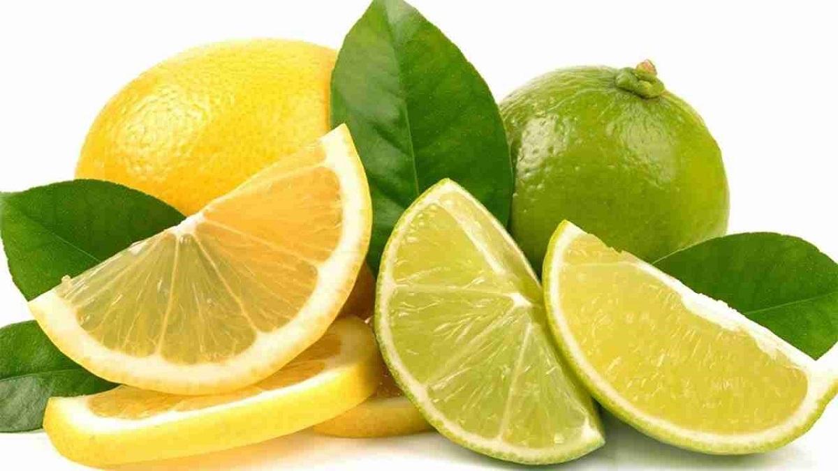 تصویر 3 از قیمت خرید لیمو شیرین سبز با فروش عمده