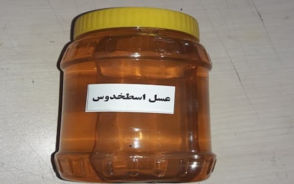 تصویر 2 از خرید عسل اسطخودوس لایمن + قیمت فروش استثنایی