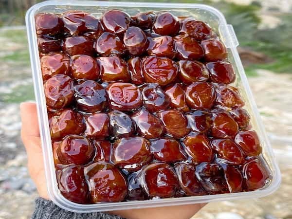 تصویر 4 از قیمت خرید خرما سطلی کبکاب عمده به صرفه و ارزان