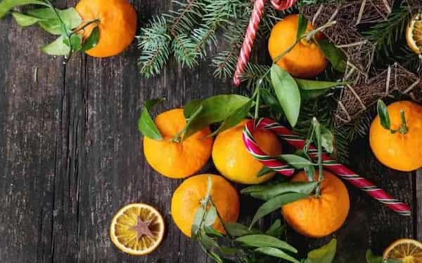تصویر 3 از قیمت خرید انواع نارنگی کلمانتین + فروش ویژه