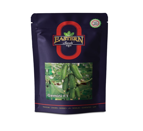 تصویر 1 از خرید و قیمت بذر خیار تابستانه + فروش عمده