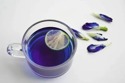 تصویر 1 از قیمت گیاه دارویی گل گاوزبان + خرید باور نکردنی