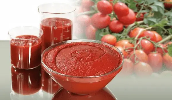تصویر 4 از قیمت خرید رب قوطی بزرگ عمده به صرفه و ارزان