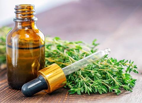 تصویر 5 از قیمت اسانس طبیعی آویشن شیرازی + خرید باور نکردنی