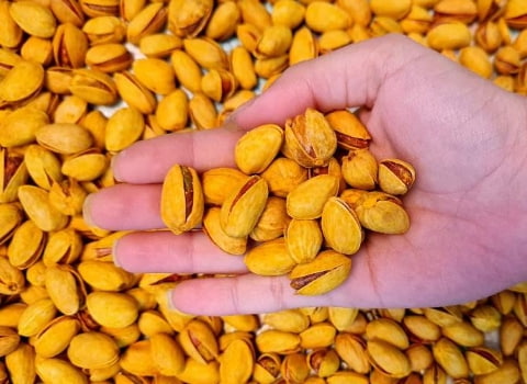 تصویر 4 از قیمت و خرید  پسته بادامی شور + فروش ارزان