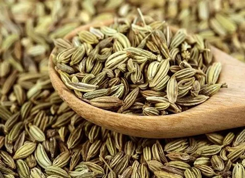 تصویر 3 از قیمت خرید زیره سبز صادراتی عمده به صرفه و ارزان