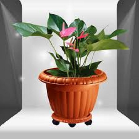 خرید گلدان پلاستیکی + قیمت فروش استثنایی
