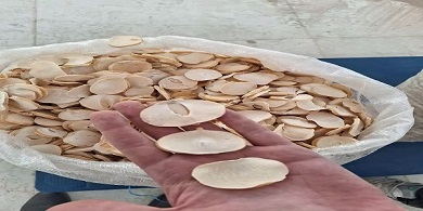 تصویر 4 از فروش سیر اسلایس شده + قیمت خرید به صرفه