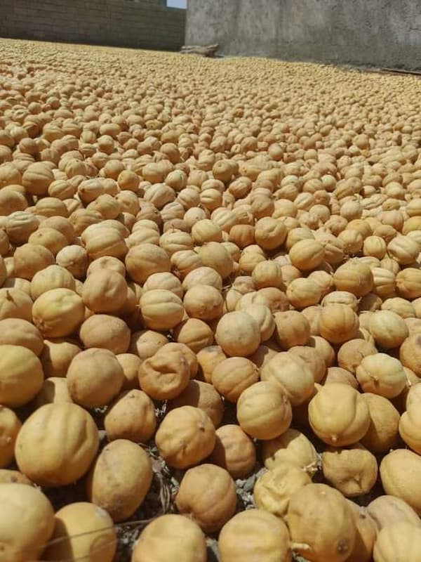 تصویر 4 از خرید لیمو خشک مصری  + قیمت فروش استثنایی