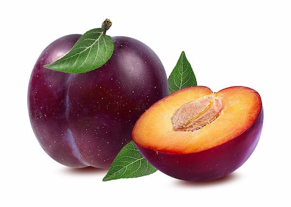 تصویر 5 از خرید و قیمت آلو جنگلی سیاه + فروش عمده