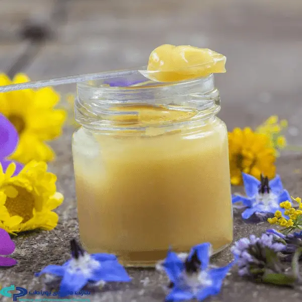 تصویر 2 از خرید ژل رویال طبیعی + قیمت فروش استثنایی