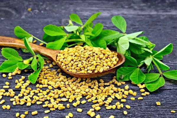 تصویر 4 از خرید گرده گل ایرانی + قیمت فروش استثنایی
