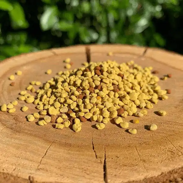 تصویر 1 از قیمت گرده گل مرغوب + خرید باور نکردنی