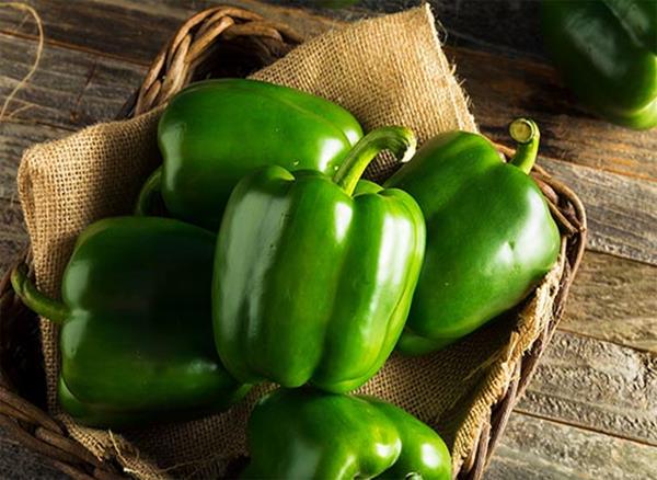 تصویر 5 از قیمت فلفل دلمه سبز + خرید باور نکردنی