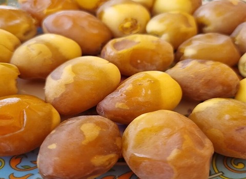 تصویر 2 از قیمت خرید خرما برحی عسلی + فروش ویژه