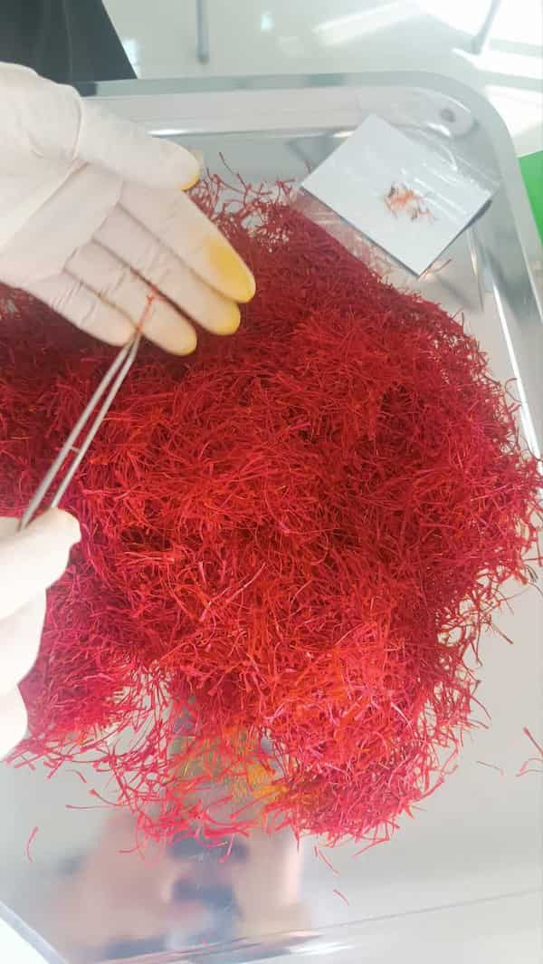 تصویر 2 از قیمت زعفران نیم مثقالی جعبه با کیفیت ارزان + خرید عمده