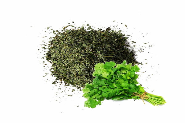 تصویر 2 از خرید و قیمت گشنیز خشک شده + فروش عمده