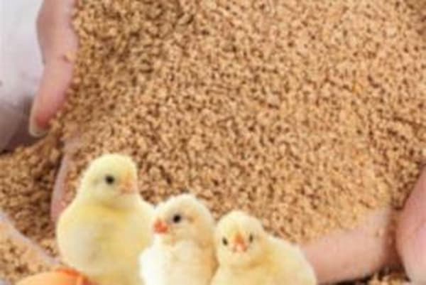 تصویر 4 از فروش مکمل گیاهی طیور + قیمت خرید به صرفه