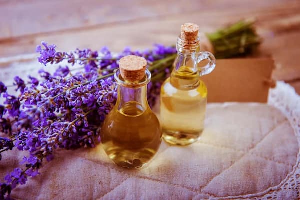 خرید و فروش اسانس طبیعی اسطوخودوس با شرایط فوق العاده