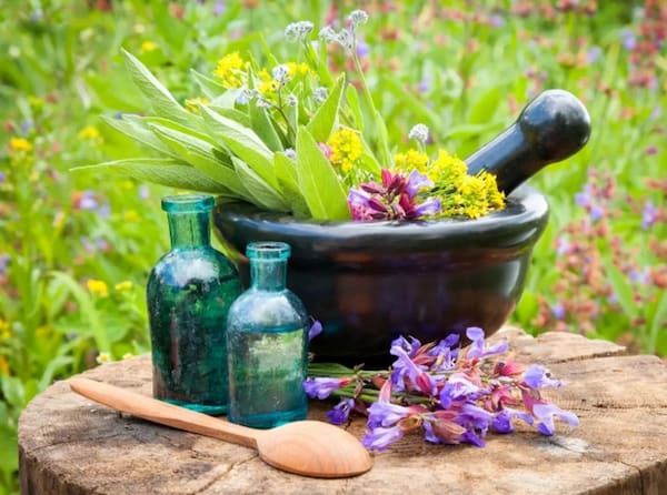 تصویر 3 از خرید و قیمت عرق بیدمشک درجه یک + فروش عمده