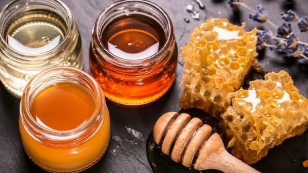 بهترین عسل کنار کوهی + قیمت خرید عالی