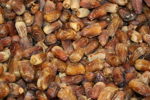 تصویر 5 از فروش عالی + قیمت استثنایی خرما نیمه خشک
