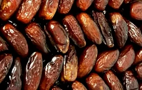 تصویر 2 از فروش + قیمت استثنایی خرما حلوایی مجلسی