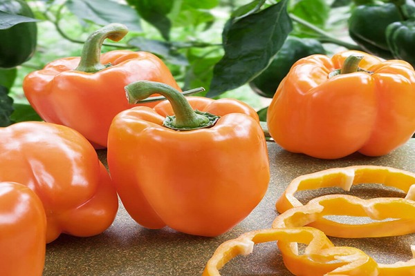 تصویر 2 از قیمت فلفل دلمه نارنجی با کیفیت ارزان + خرید عمده