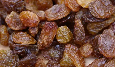 تصویر 1 از فروش استثنایی + قیمت مناسب کشمش پلویی خرمایی