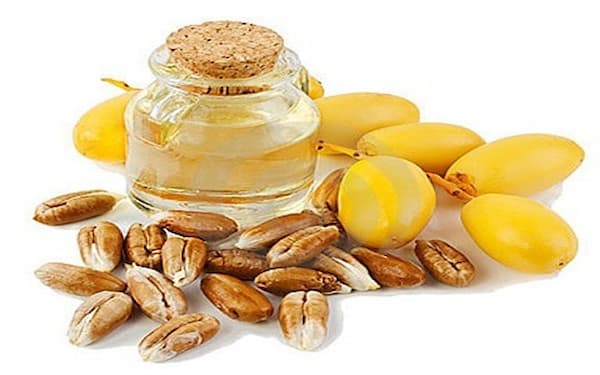 تصویر 4 از خرید و قیمت روغن هسته خرما + فروش عمده