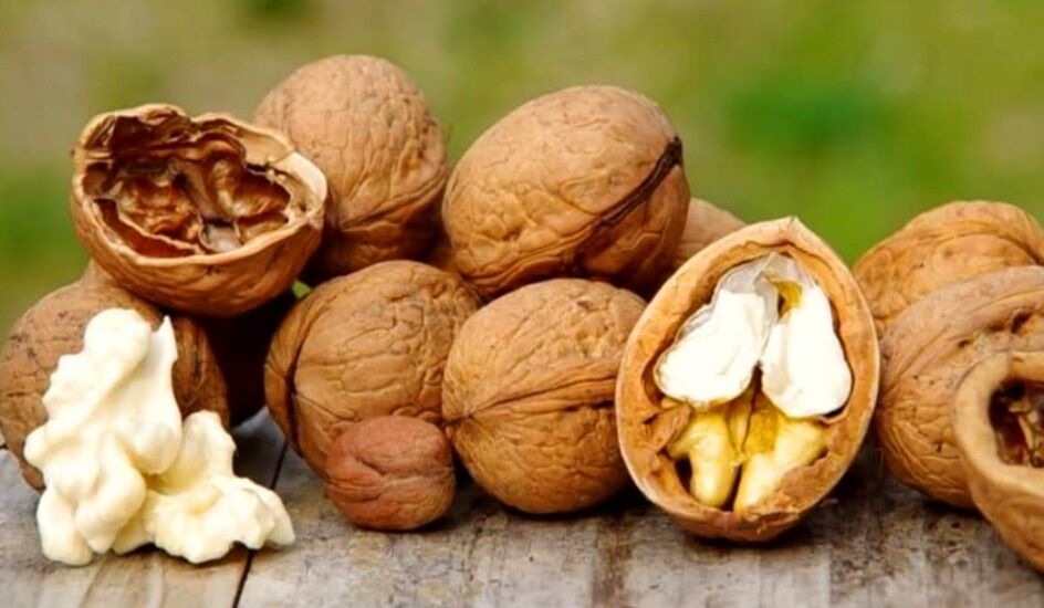 تصویر 1 از خرید مغز گردو سوزنی + قیمت فروش استثنایی