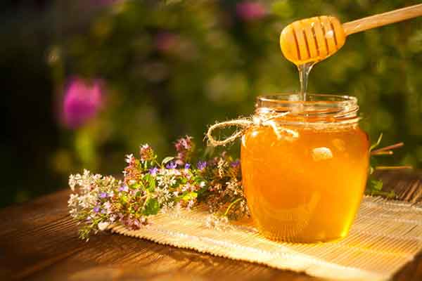 تصویر 5 از قیمت خرید عسل اردبیل با فروش عمده